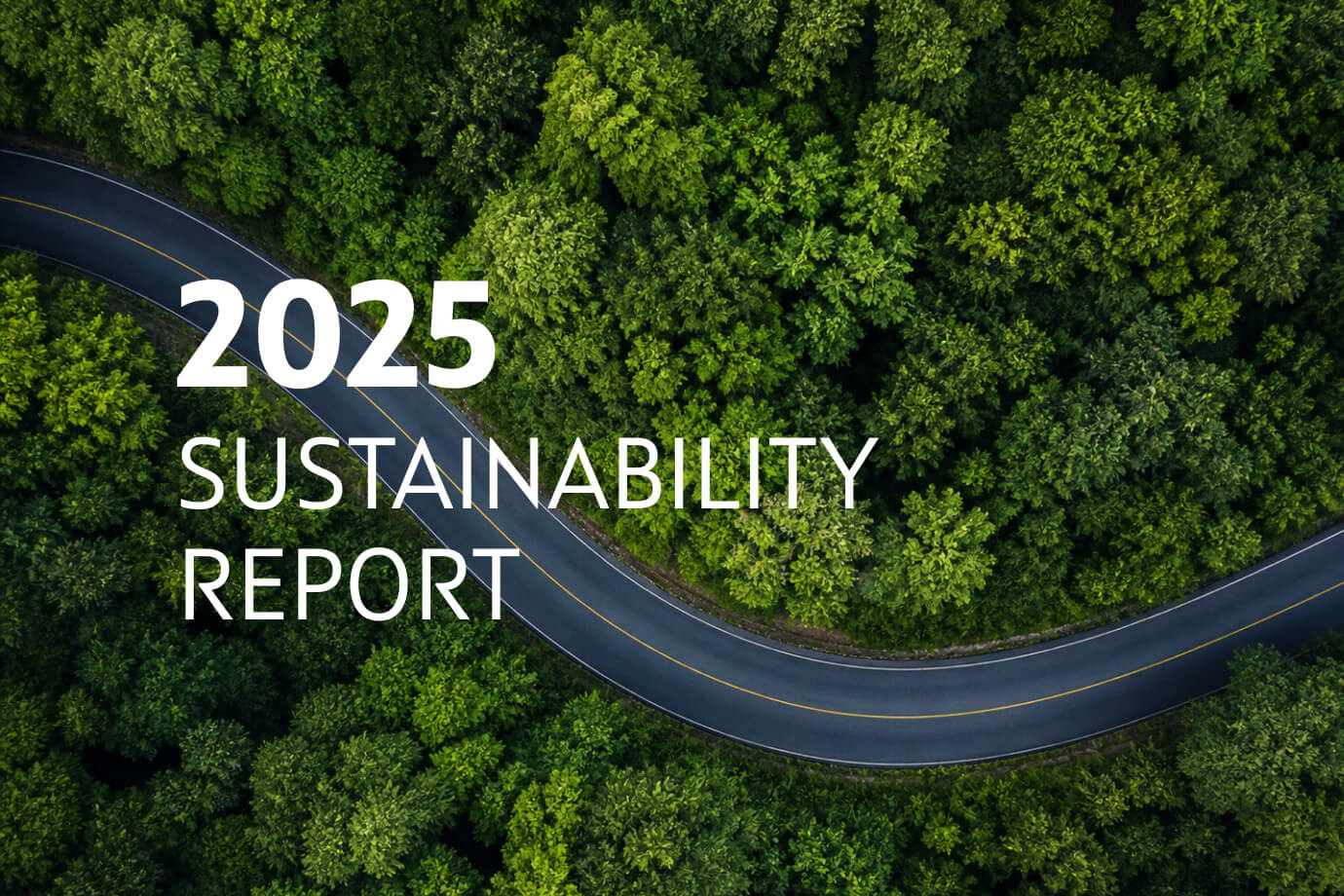 OTP Group published the Integrated Annual Report 2025​